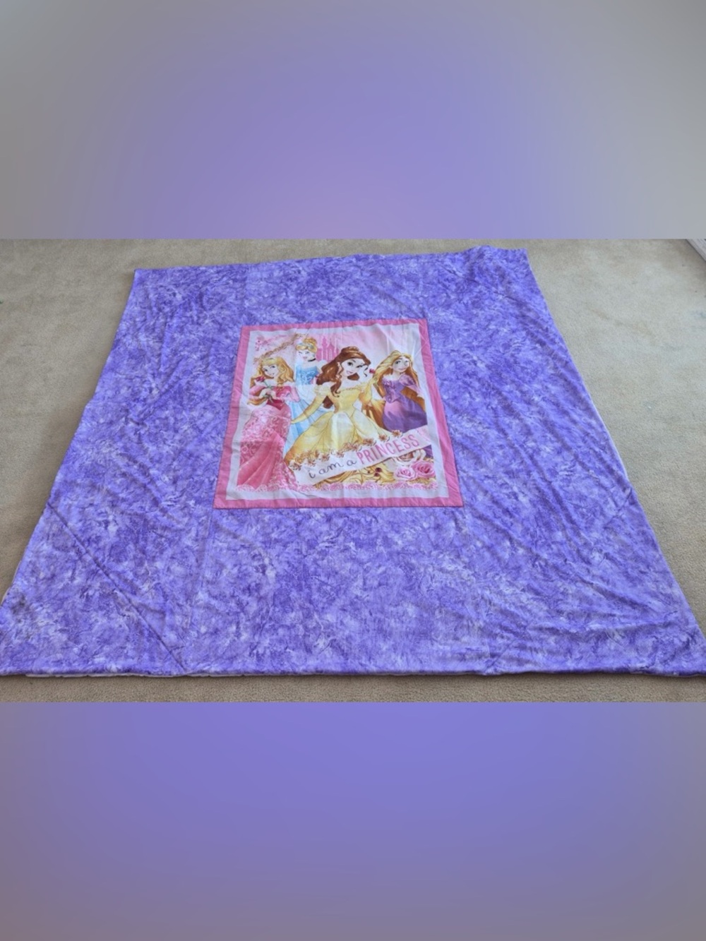 2010/Y2K Disney Princesses Purple TWIN Size Comforter